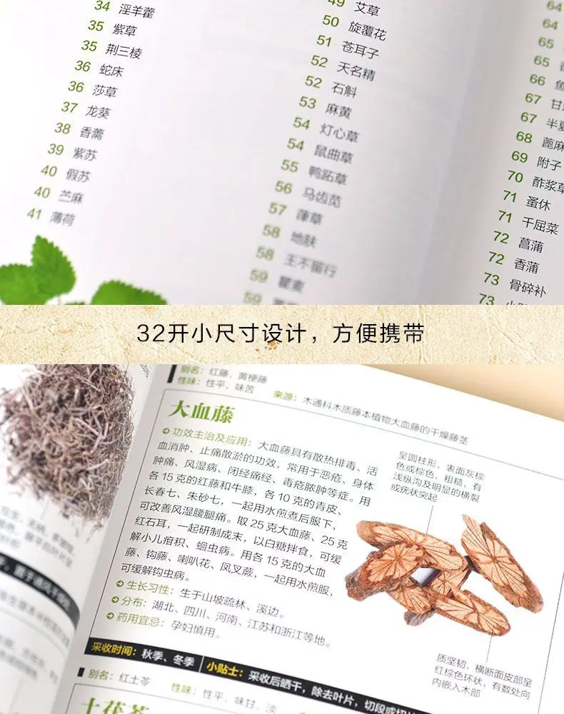 Illustrated Chinese Herbal Medicine Illustrated Book of Medicinal Plants (2 volumes) Chinese medicine books