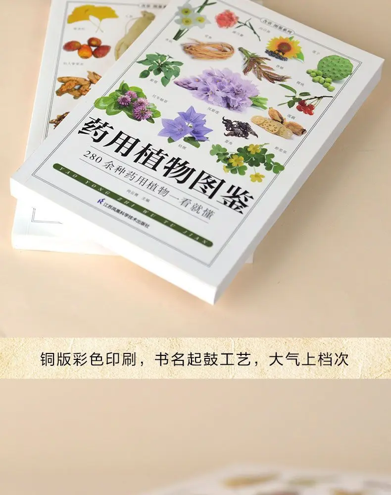 Illustrated Chinese Herbal Medicine Illustrated Book of Medicinal Plants (2 volumes) Chinese medicine books