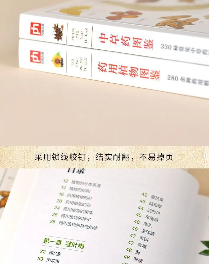 Illustrated Chinese Herbal Medicine Illustrated Book of Medicinal Plants (2 volumes) Chinese medicine books