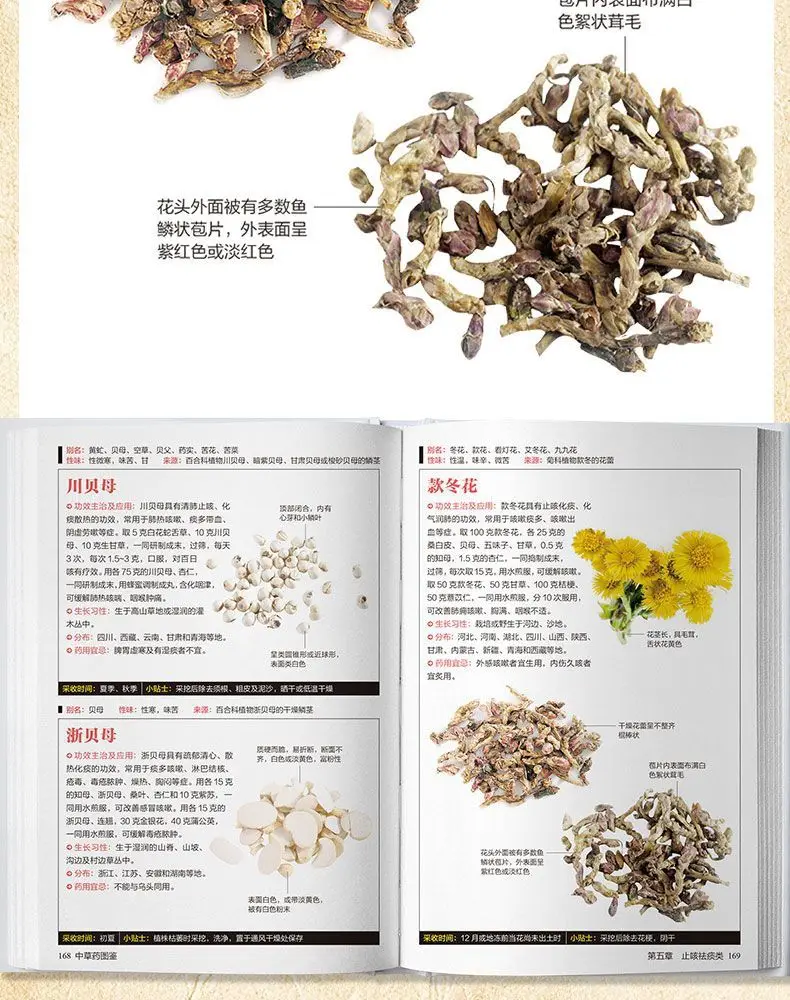 Illustrated Chinese Herbal Medicine Illustrated Book of Medicinal Plants (2 volumes) Chinese medicine books