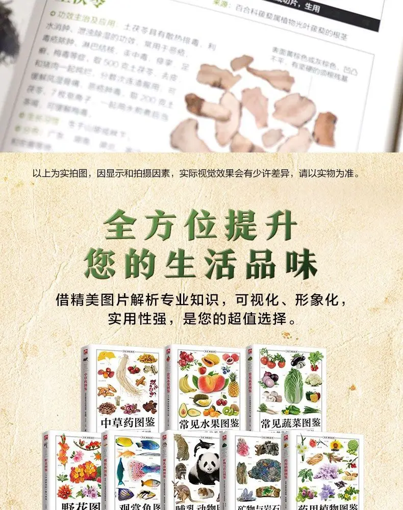 Illustrated Chinese Herbal Medicine Illustrated Book of Medicinal Plants (2 volumes) Chinese medicine books