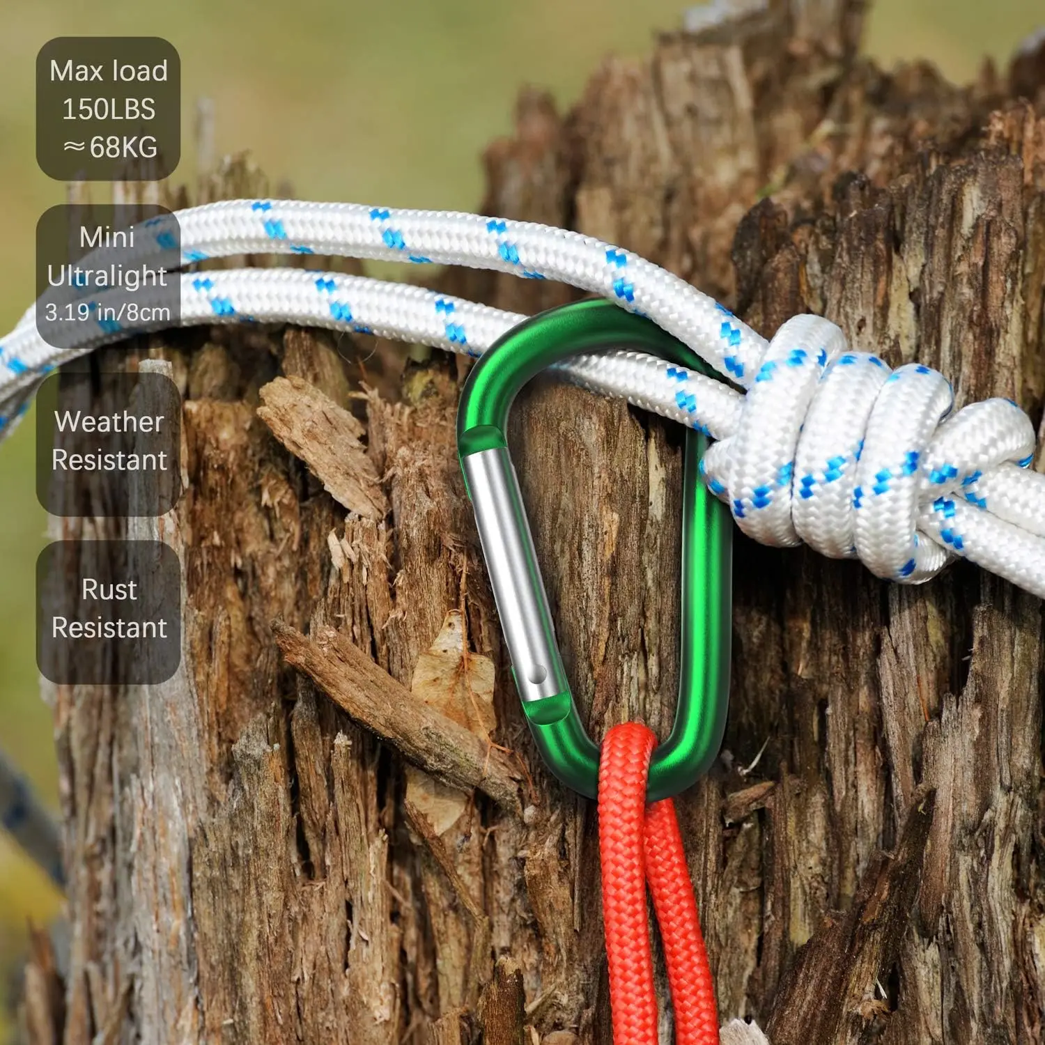 Colorful Carabiner Keychain Alluminum D-ring Buckle Spring Carabiner Snap Hook Clip Keychains Outdoor Camping Daily Use Tool